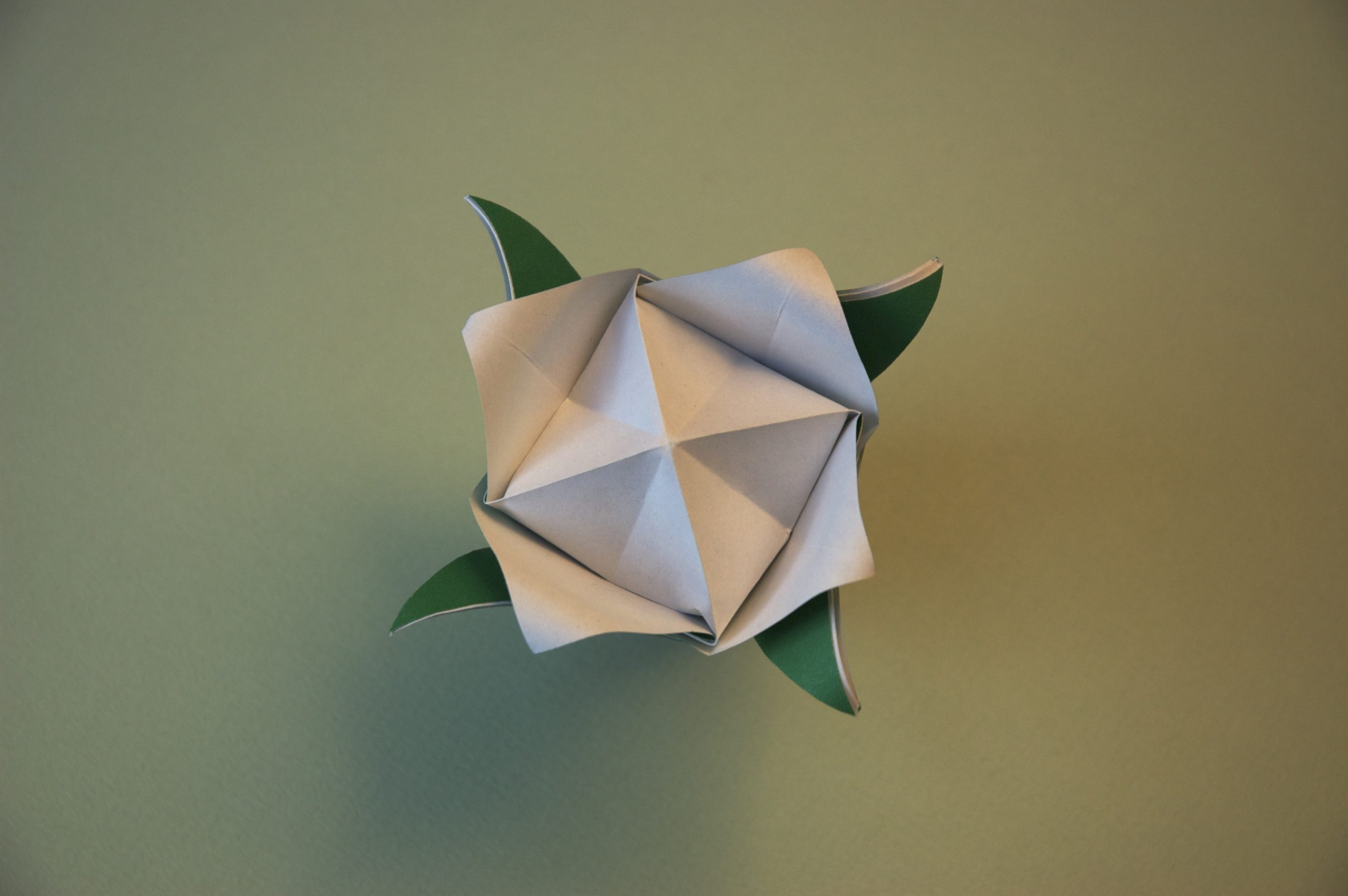 Origami Flowers By Atelier Oï - Home