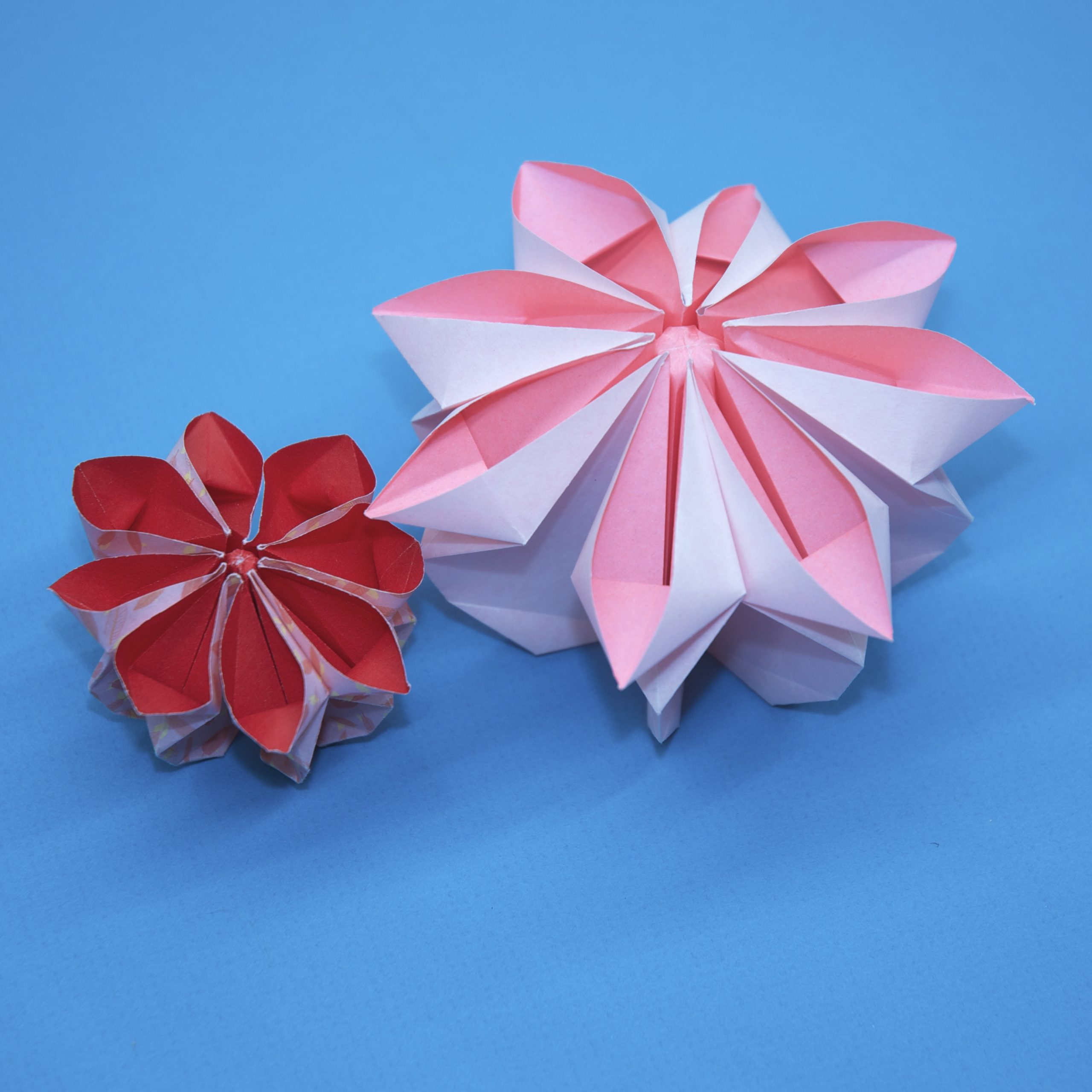 Lafosse & Alexander's Origami Flowers Kit: Lifelike Paper Flowers to  Brighten Up Your Life: Kit with Origami Book, 180 Origami Papers, 20  Projects & D (Other)